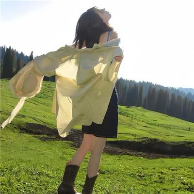 汪汪队立大功第八季